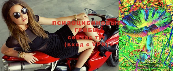 2c-b Бородино