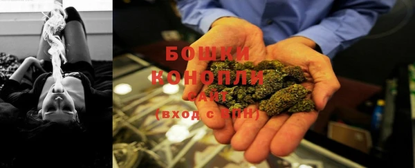 2c-b Бородино