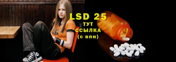 2c-b Бородино