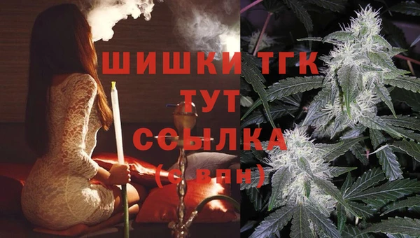 mix Богородицк