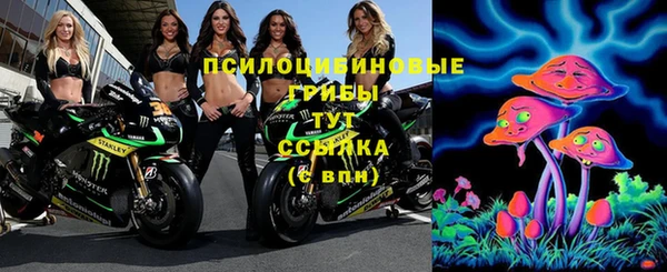 ПСИЛОЦИБИНОВЫЕ ГРИБЫ Бронницы