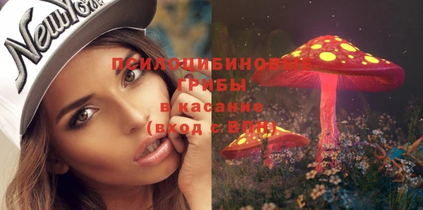 2c-b Бородино