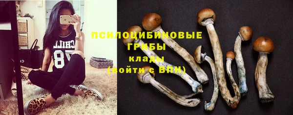 2c-b Бородино