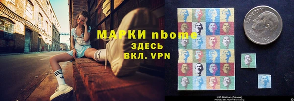 2c-b Бородино