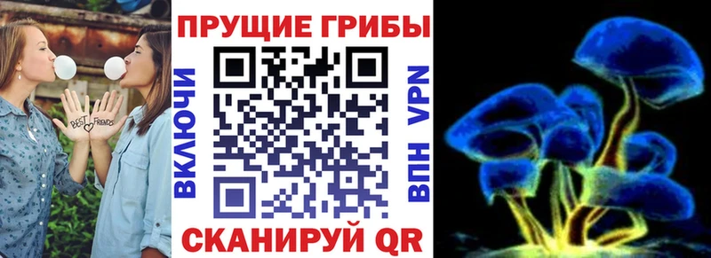 Псилоцибиновые грибы мухоморы  Мончегорск 